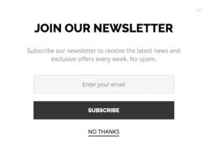 example of generic newsletter sign-up form